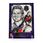 2006 AFL "Champions of the Brownlow" Card Set